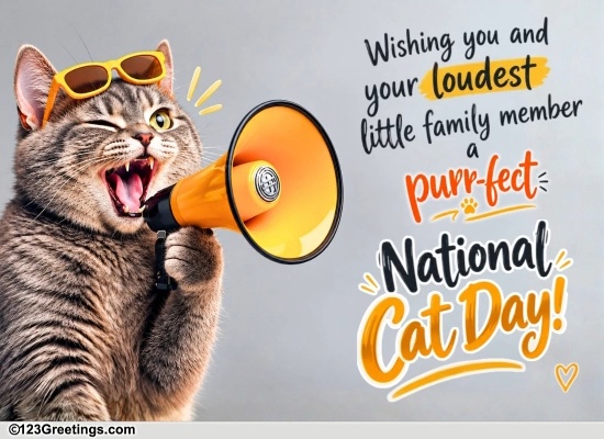 A Playful Wish For Cat Lovers
