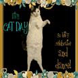A Funny Cat Day Card For You.