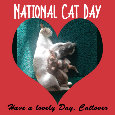 National Cat Day, Cat  And Kittens.