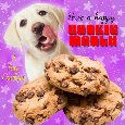 I Love Cookies!