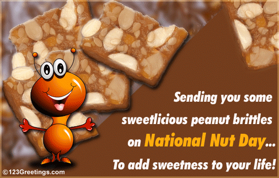 On National Nut Day!