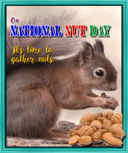 Gather Nuts.
