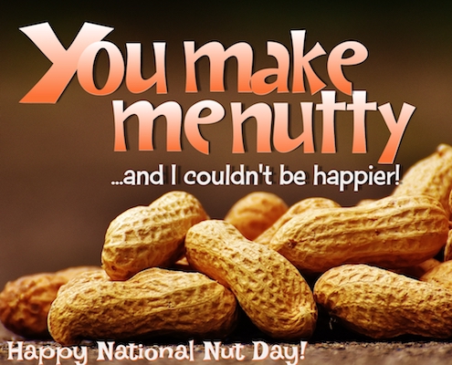 He is nuts. Are you Nuts. I Love to nut. Internation Nuts Day.