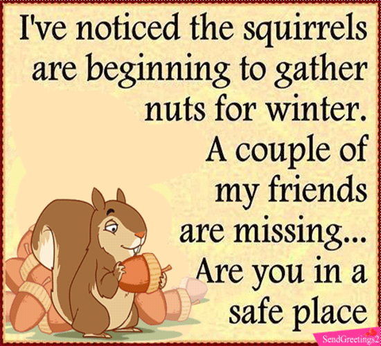 Squirrel Gathering Nuts.