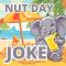 Nut Day Joke!