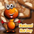 On National Nut Day!