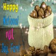 National Nut Day Family Wishes