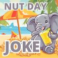 Nut Day Joke!