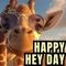Send A Sunny Hey To Your Loved One