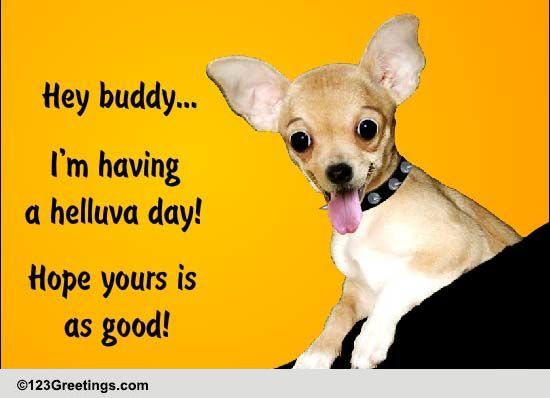 Having A Helluva Day! Free Say 'Hey' Day eCards, Greeting Cards | 123 ...