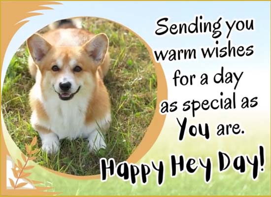 Cutest Say ’Hey’ Day Ecard. Free Say 'Hey' Day eCards | 123 Greetings