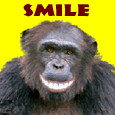 Your Smile...