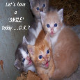 Smile Day Kittens.