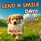Send Smiles To Brighten Their...