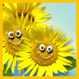 A Smiling Bunch...