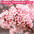 Wishes On Sweetest Day With Flowers.