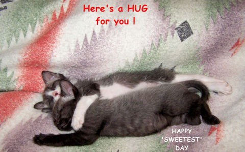 Sweetest Day Hug, Cats!