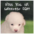 A Miss You Card For Sweetest Day!