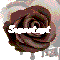 A Chocolate Rose For My Love!
