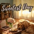 A Cuddle That Says Happy Sweetest Day.