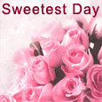 Pink Roses On Sweetest Day.