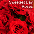 Roses On Sweetest Day.