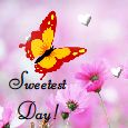 Get All The Sweet Things Of Life!