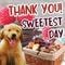 Cute Puppy Sweetest Day Thank You!