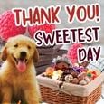 Cute Puppy Sweetest Day Thank You!
