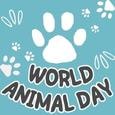 Happy World Animal Day!