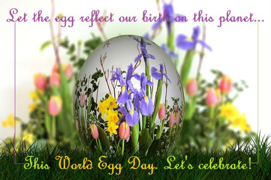 World Egg Day Celebration Wishes.