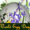 World Egg Day Celebration Wishes.