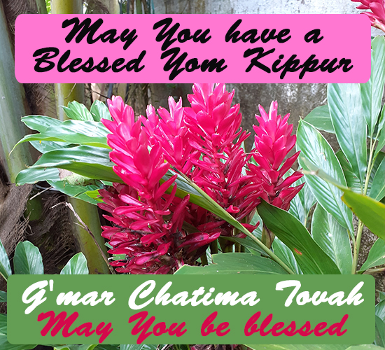 Yom Kippur Blessing, Pink Flowers.
