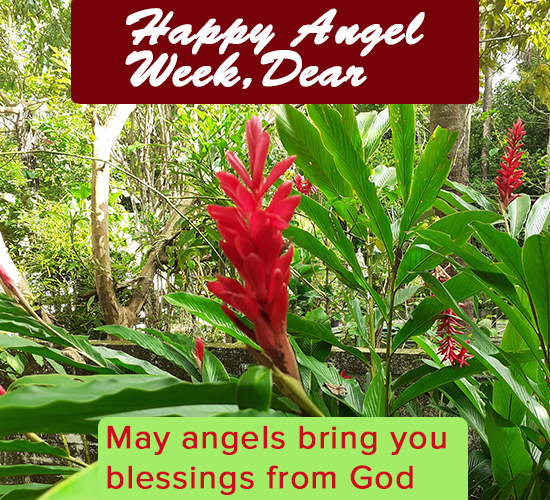 Happy Angel Week, Dear...