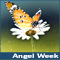 Angel Week