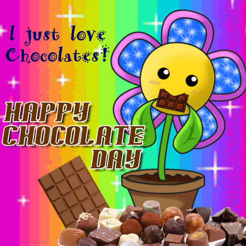 I Just Love Chocolates!