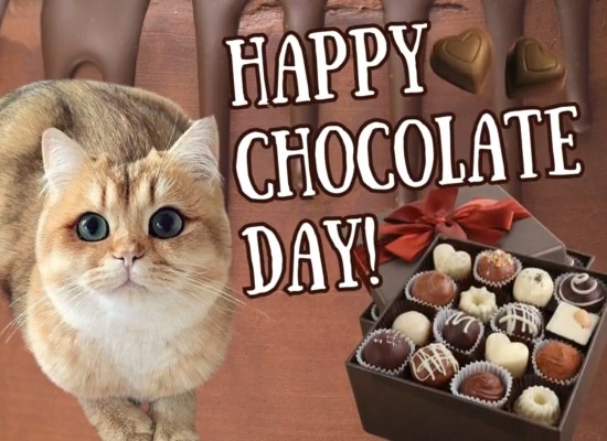 Share Heartfelt Chocolate Day Wishes