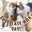 Happy Chocolate Milk Day.