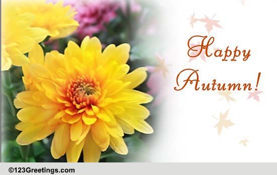 A Touch Of Floral Fall Magic!