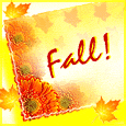 A Bright And Beautiful Fall!