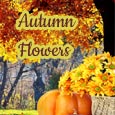 Sending Autumn Flowers Across Miles...