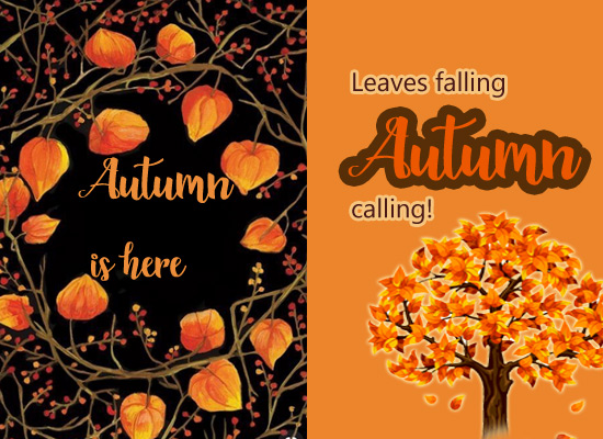 Leaves Falling Autumn Calling...