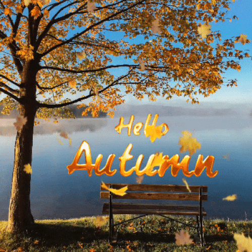 Hello Autumn Card For You