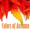 Happy Colors Of Autumn...