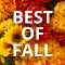 Best Of Fall.