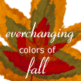 Everchanging Colors Of Fall...
