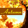  Beautiful Autumn For You...