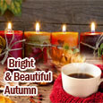 Bright &#x26; Beautiful Autumn!