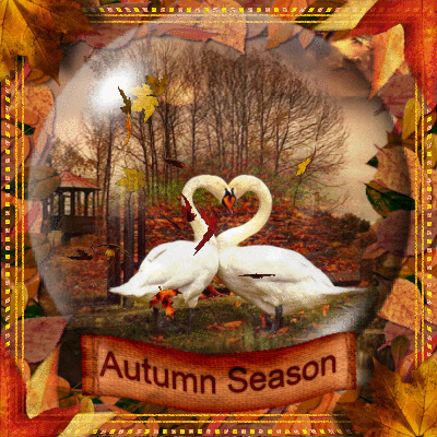 Love Of Autumn...