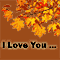 Autumn From The Bottom Of My Heart!